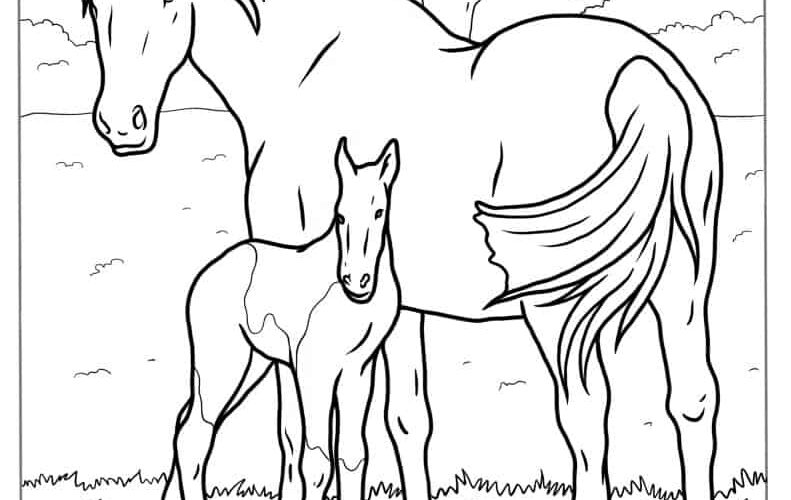44 Horse Coloring Pages Free PDF Printables
