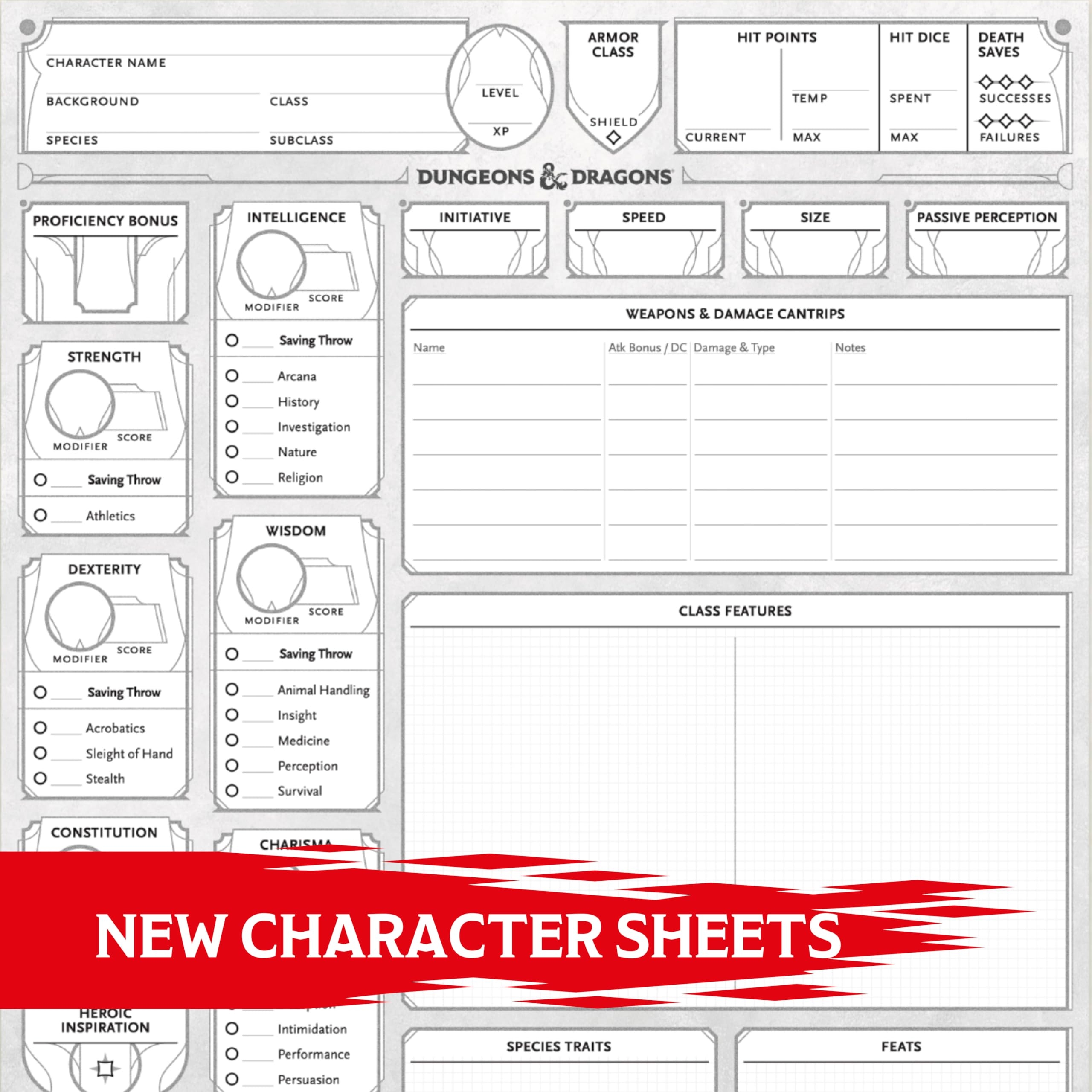 Amazon Dungeons Dragons 2024 Character Sheets Player Accessories