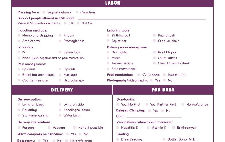 Birth Plan Template How To Write A Perfect Labor Delivery Plan