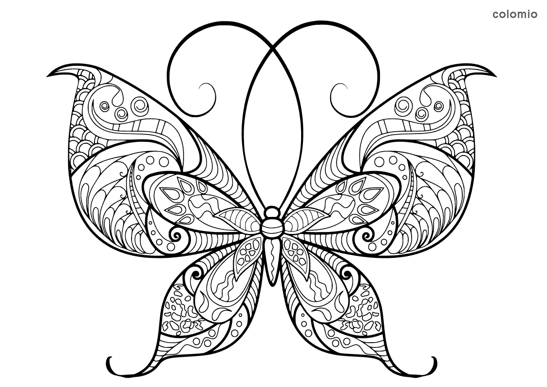 butterfly coloring sheets free printables