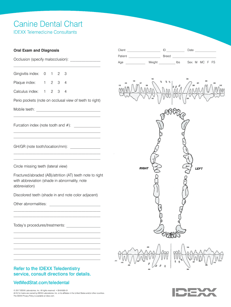 Canine Dental Chart Pdf Fill Out Sign Online DocHub