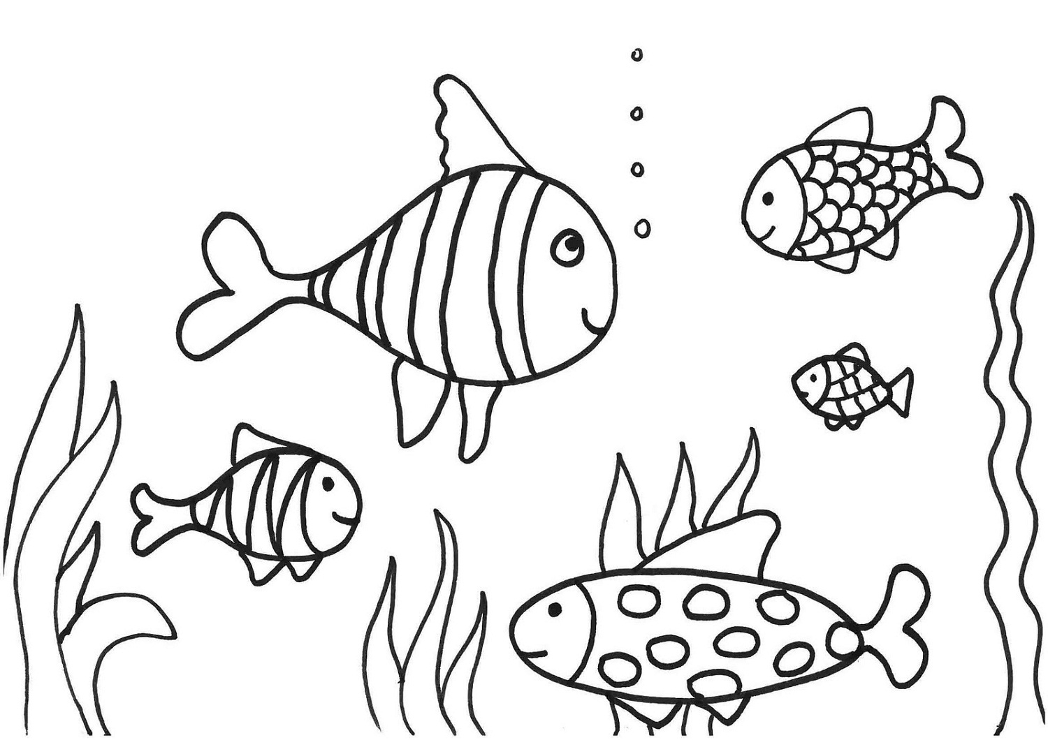 fish coloring sheets printable