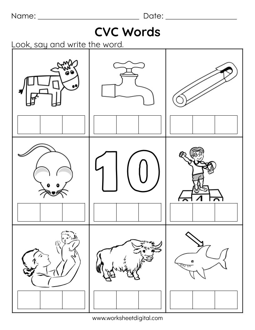 CVC Words Say And Write The CVC Words Phonics Worksheets Kindergarten Preschool Homeschool Made By Teachers
