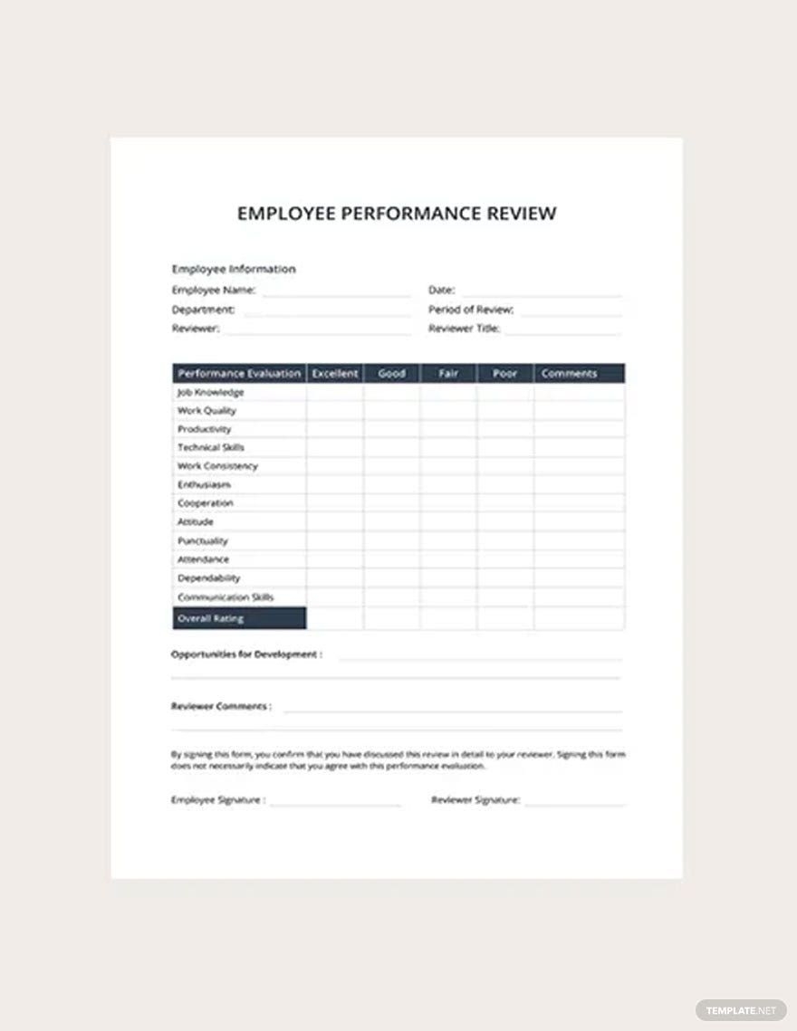 Employee Performance Review Template In Pages Word PDF Google Docs Download Template
