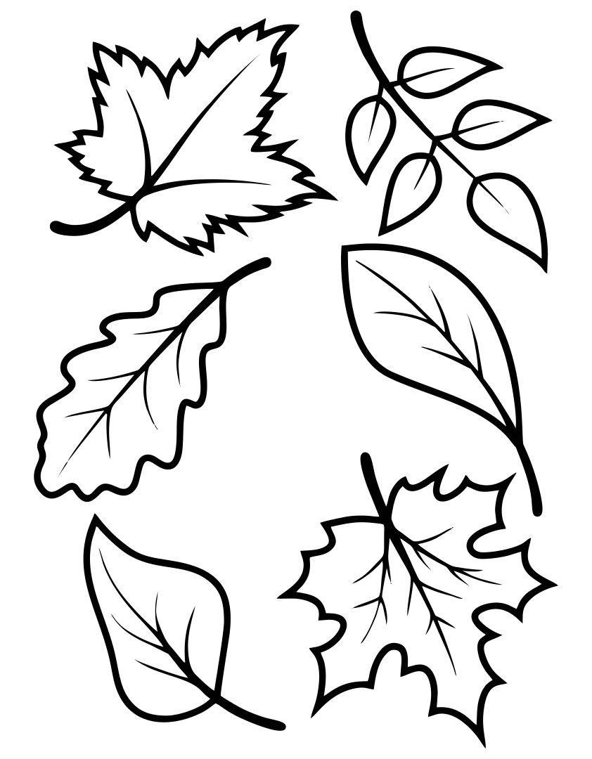 fall leaf template printable fall leaf template printable
