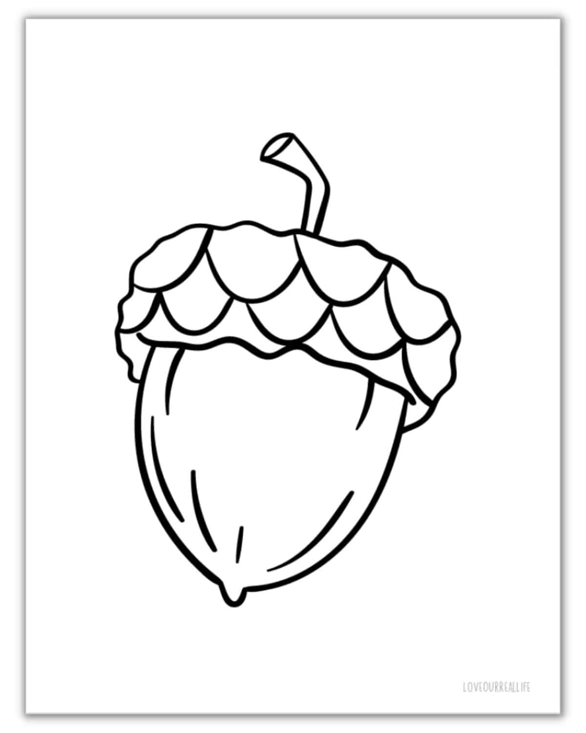acorn template printable