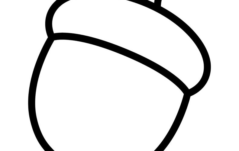 FREE Acorn Templates For Crafts Happy Toddler Playtime