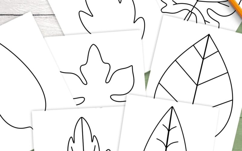 Free Leaf Templates Outlines Tons Of Printables