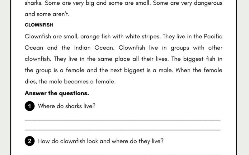 Free Printable 3rd Grade Reading Worksheet Templates Canva