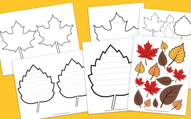 Free Printable Leaf Template Bundle For Fall