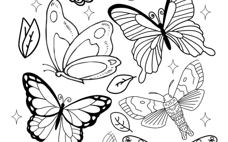 Free Simple Butterfly Coloring Pages Little Moon
