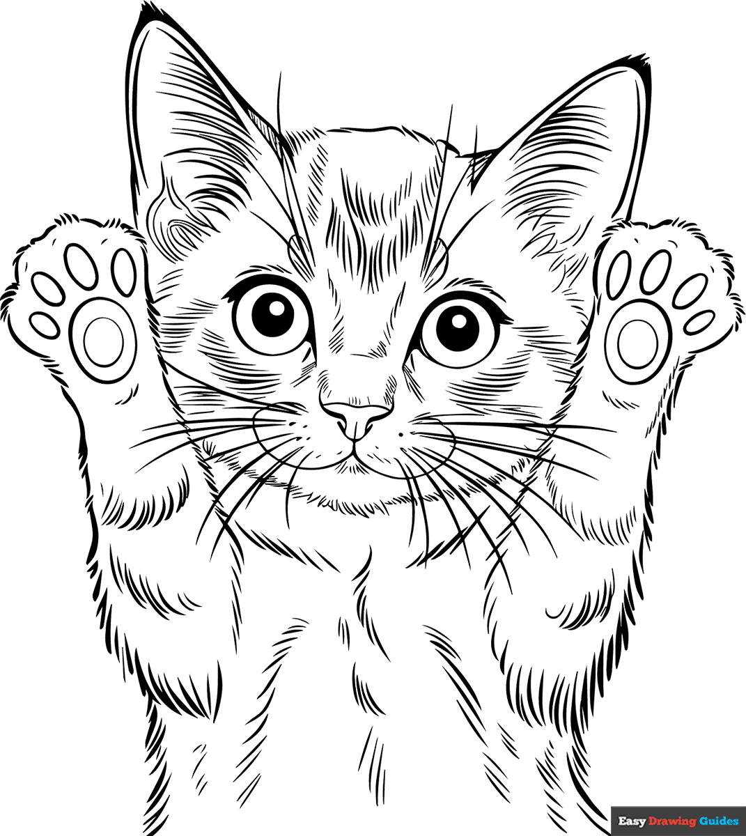 kitten coloring sheets printable kitten coloring sheets printable