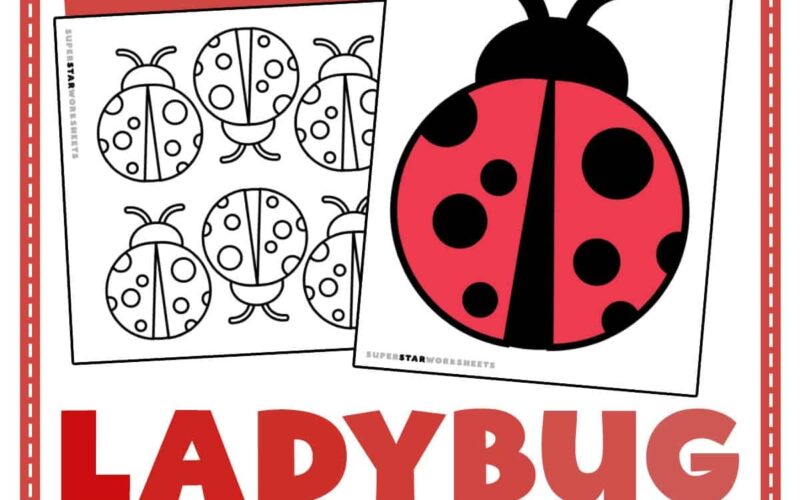 Ladybug Template Free Printables Superstar Worksheets