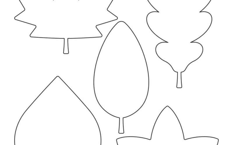 Leaf Outline Childhood Magic