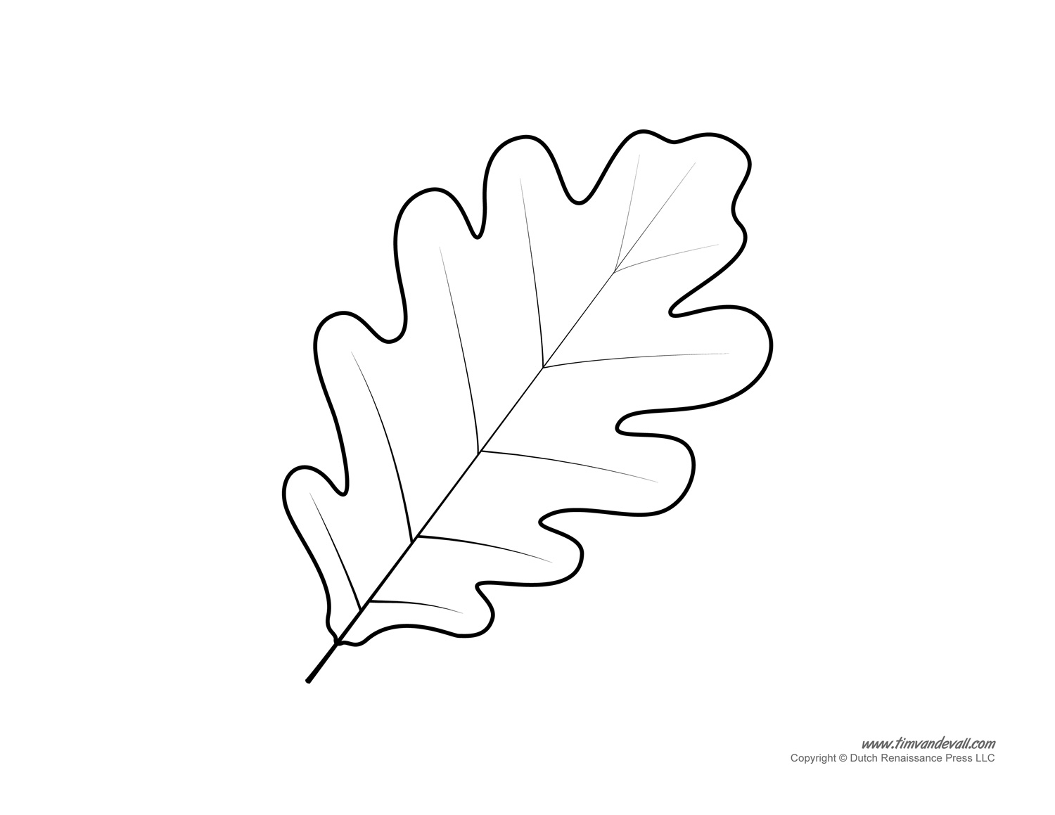 Leaf Template Tim s Printables
