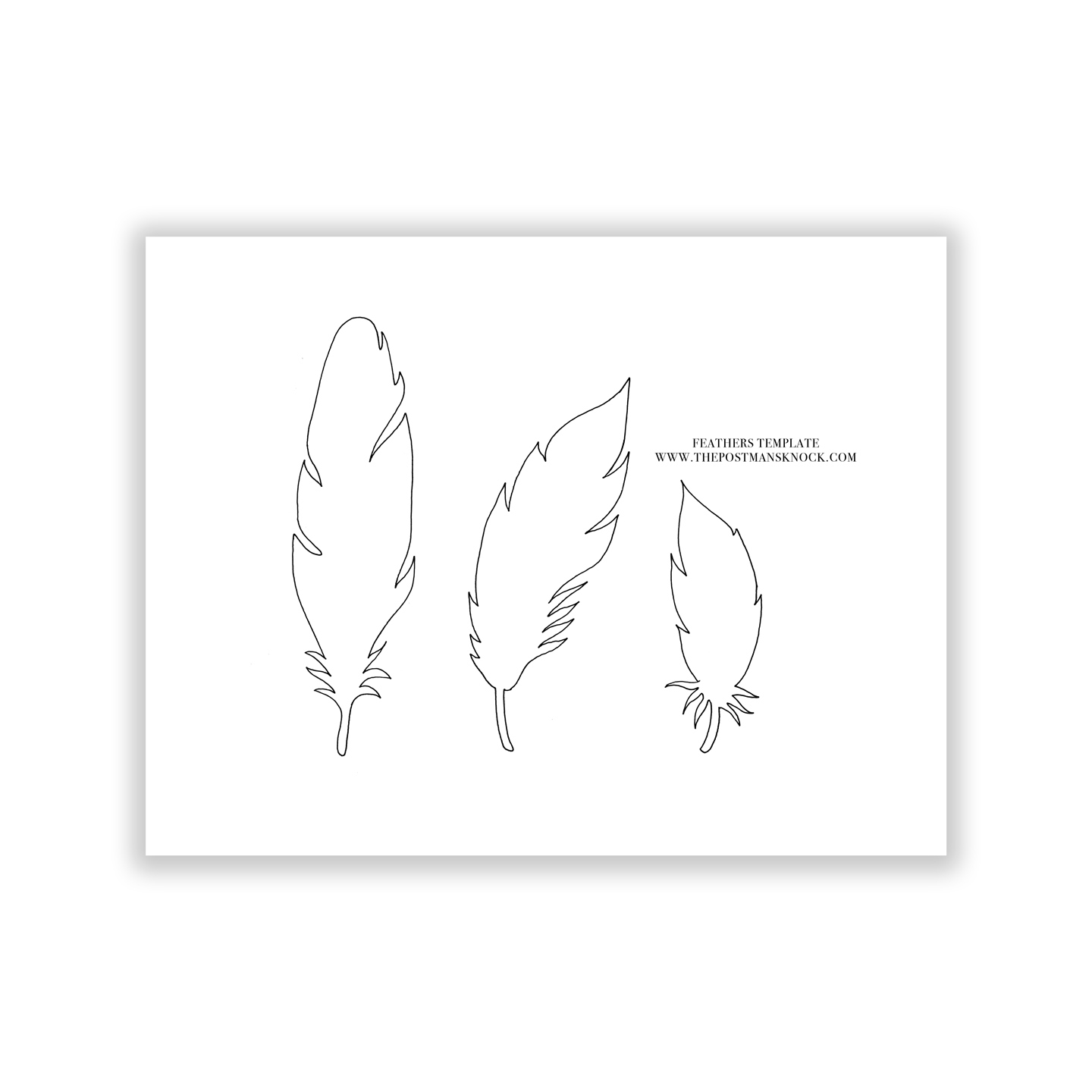 Paper Feathers Template The Postman s Knock Paper Feathers Template The Postman s Knock