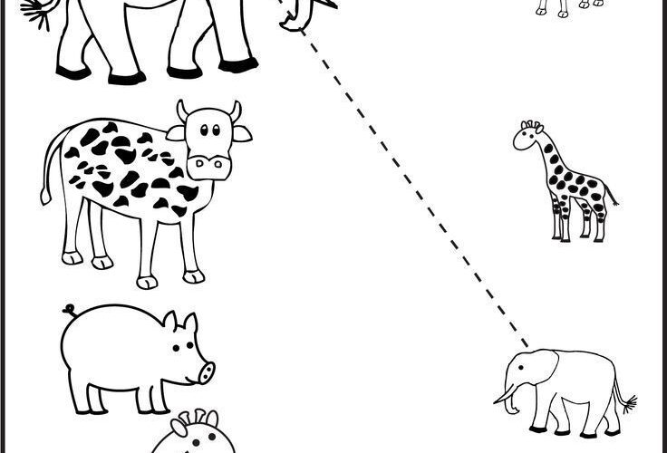 Preschool Worksheets FREE Printable Worksheets