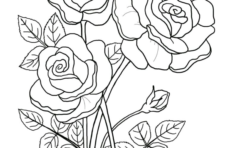 Printable Floral Coloring Sheets Coloring Pages Adult Coloring Pages Kids Coloring Pages Coloring Flowers Etsy