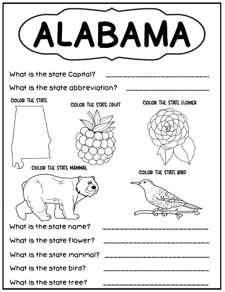 States And Capitals Worksheets Kids Activity Zone
