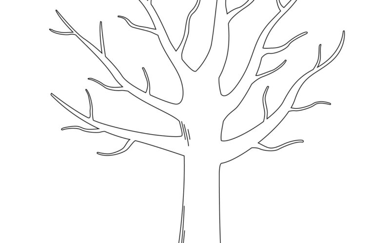 Tree Templates Tree Printables