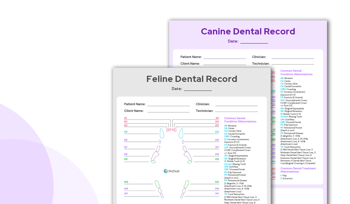 template printable canine dental chart