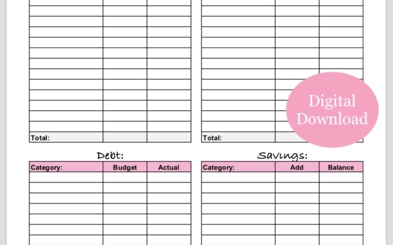 Weekly Budget Overview Template Printable pink Etsy